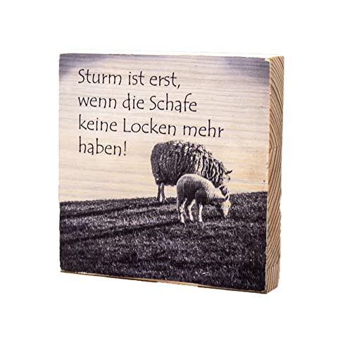 Wandbild Holz Sturm ist erst, wenn die Schafe keine Locken mehr haben - handgefertigte Dekoration via Fototransfer mit Spruch zum Hinstellen/Aufhängen (10x10x2 cm)