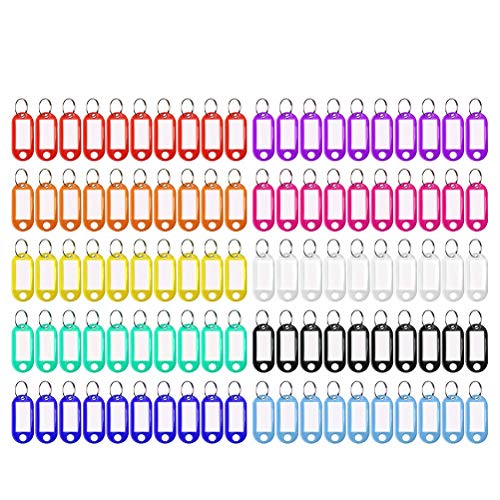 100 Stück Schlüsselanhänger, Schlüsselanhänger Beschriftbar Kunststoff Schlüsselschilder mit Ring Schlüssel Beschriftung zum Schlüssel Koffern Haustieren Markieren(10 Farben)