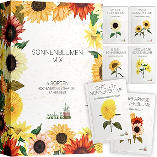 Sonnenblumen Samen Set - 6 Sorten in Samentütchen für die eigene Anzucht - Sonnen Blumen Samen ideal für Gartenliebhaber - Samenfestes Saatgut frei von Chemie