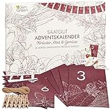 Saatgut Adventskalender 2023 : Nachhaltiger Samen Adventskalender 2023 für Kräuter, Obst, Gemüse – Adventskalender Garten – Adventskalender Neuheiten 2023 – Adventskalender 2023 Saatgut von OwnGrown