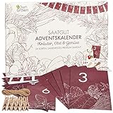 Saatgut Adventskalender 2023 : Nachhaltiger Samen Adventskalender 2023 für Kräuter, Obst, Gemüse – Adventskalender Garten – Adventskalender Neuheiten 2023 – Adventskalender 2023 Saatgut von OwnGrown